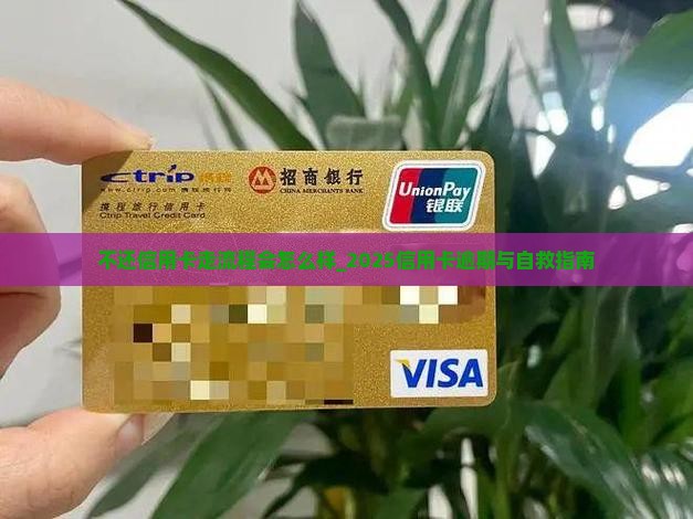 不还信用卡走流程会怎么样