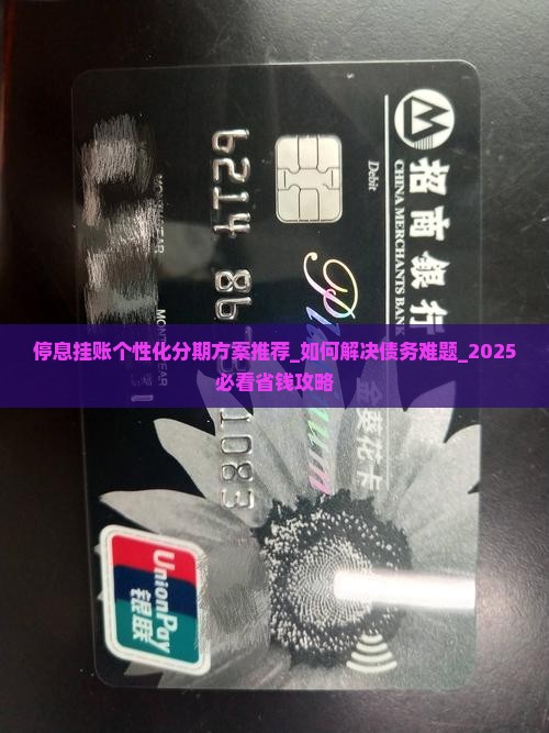 停息挂账个性化分期方案推荐