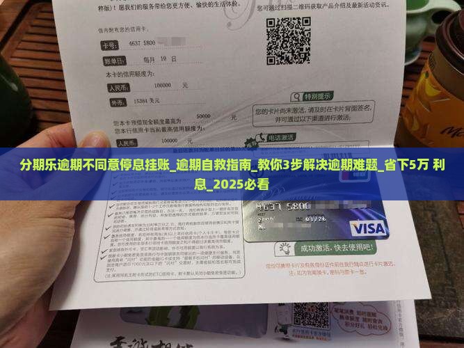 分期乐逾期不同意停息挂账怎么办