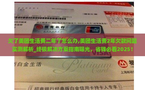 欠了美团生活费二年了怎么办