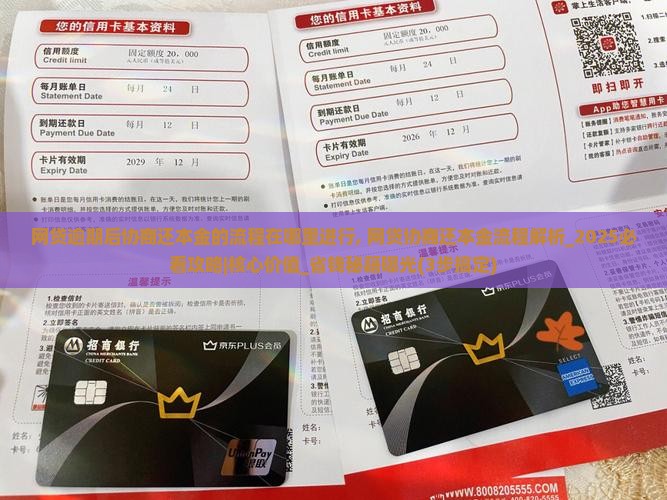 网贷逾期后协商还本金的流程在哪里进行