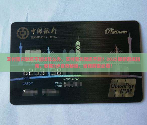 支付宝欠款还不起该怎么办