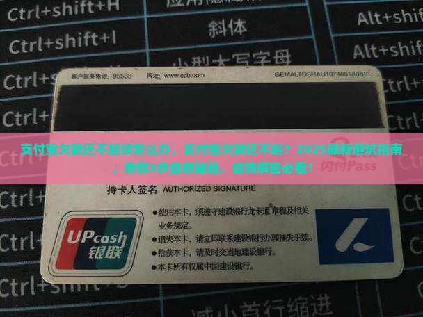 支付宝欠款还不起该怎么办