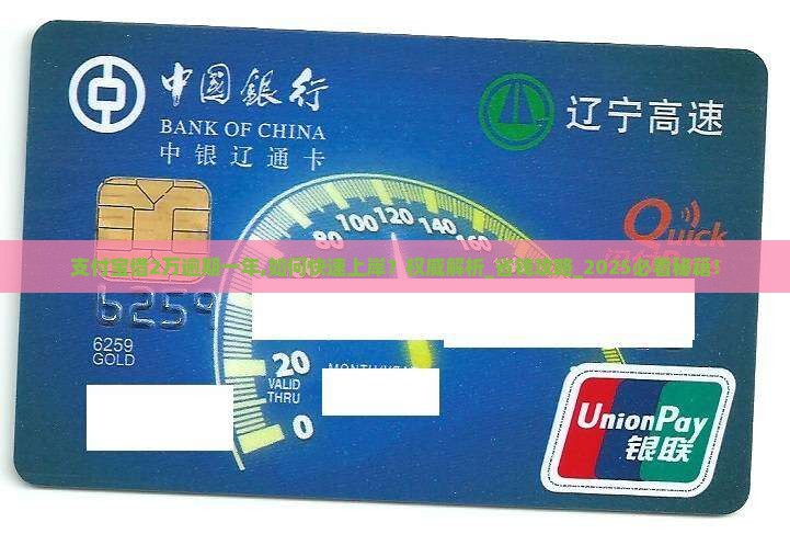 支付宝借2万逾期一年