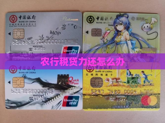 农行税贷无能力还怎么办 农行税贷无能力还怎么办