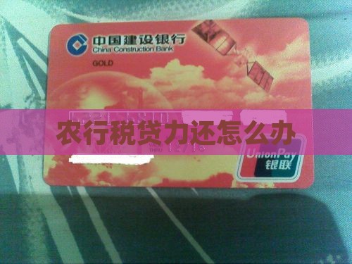 农行税贷无能力还怎么办 农行税贷无能力还怎么办