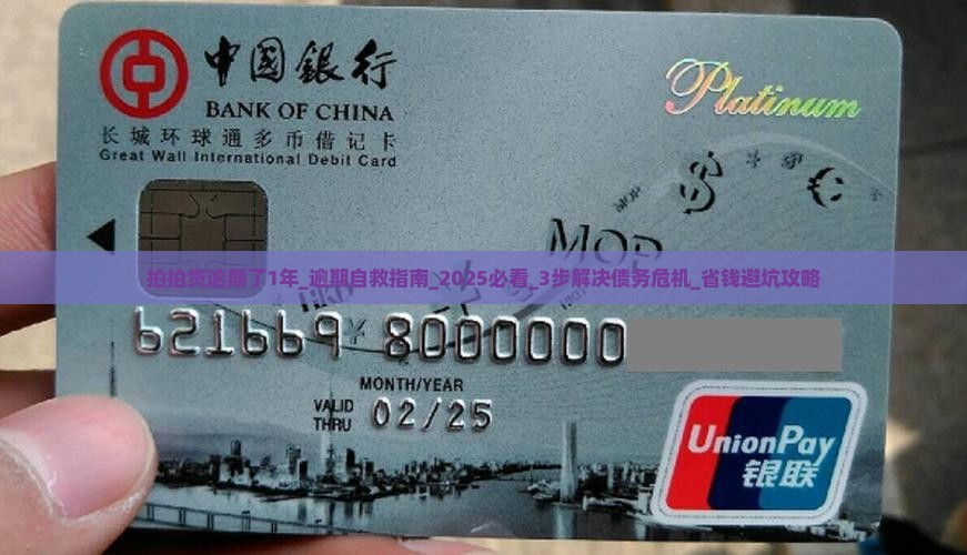 拍拍贷逾期了1年 拍拍贷逾期了1年