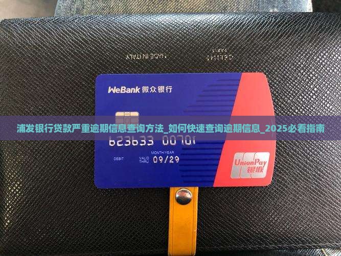 浦发银行贷款严重逾期信息查询方法