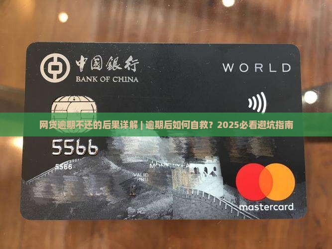 网贷逾期不还的后果详解