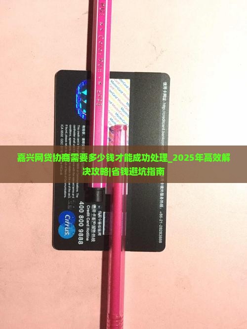 嘉兴网贷协商需要多少钱才能成功处理
