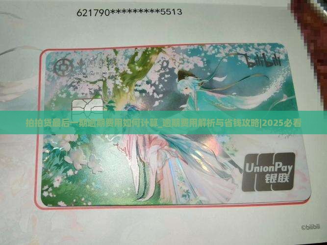 拍拍贷最后一期逾期费用如何计算