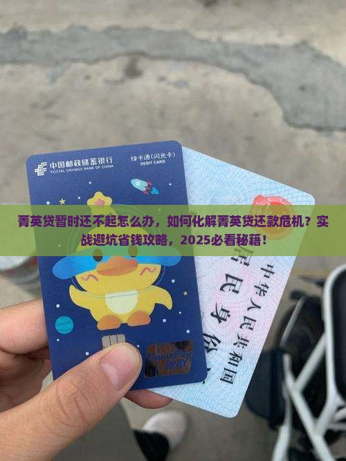 菁英贷暂时还不起怎么办