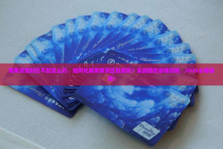 菁英贷暂时还不起怎么办