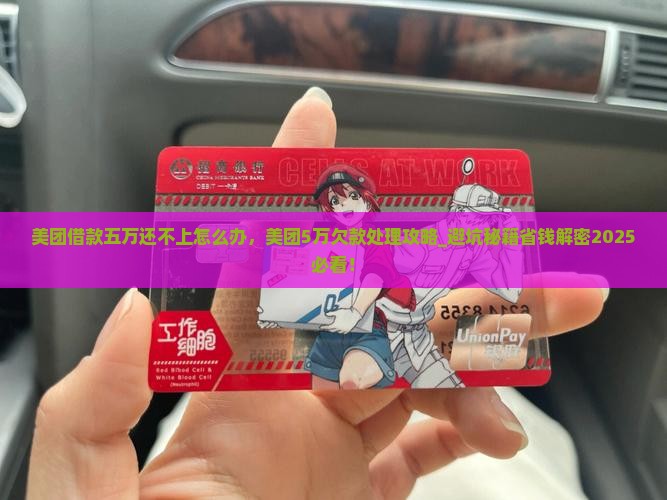 美团借款五万还不上怎么办