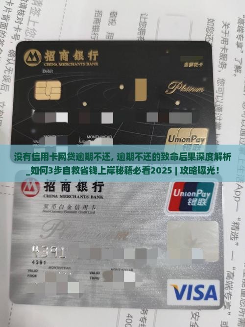 没有信用卡网贷逾期不还