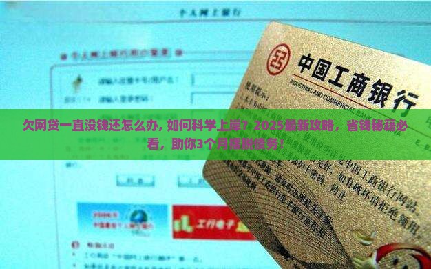 欠网贷一直没钱还怎么办