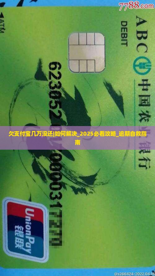 欠支付宝几万没还怎么办 欠支付宝几万没还怎么办