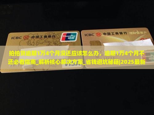 拍拍贷逾期1万4个月没还应该怎么办
