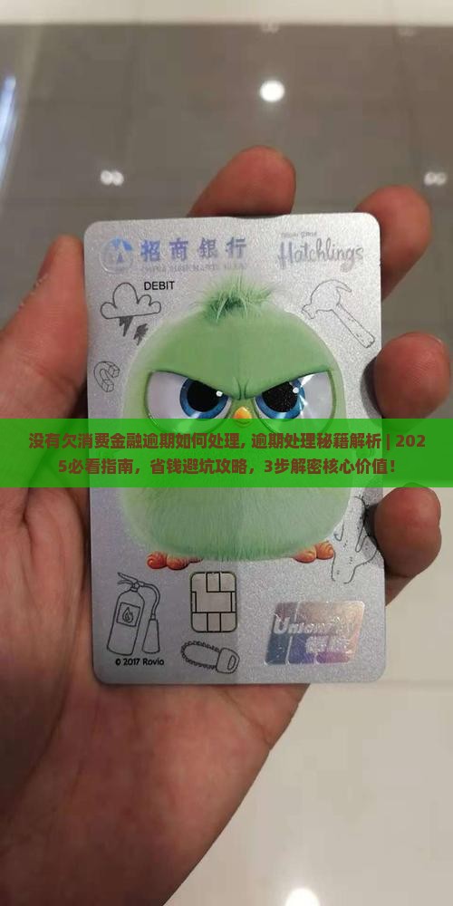 没有欠消费金融逾期如何处理