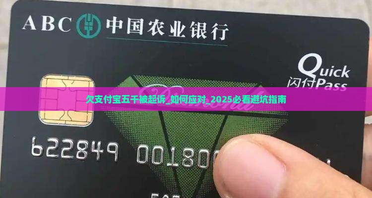 欠支付宝五千被起诉