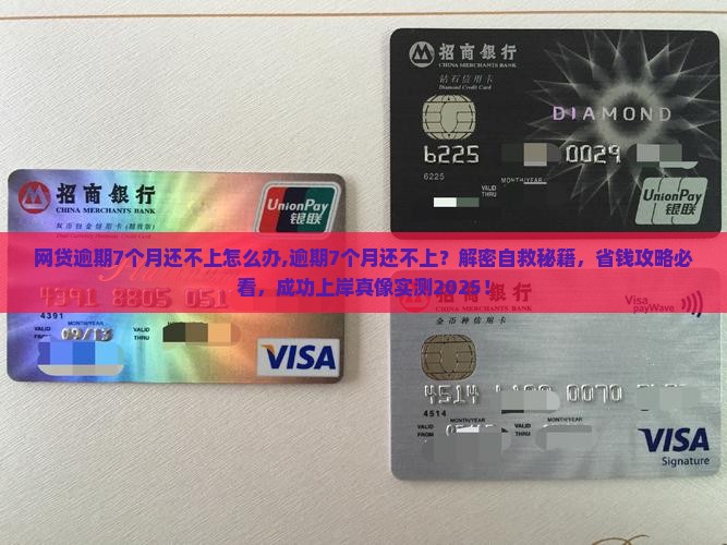 网贷逾期7个月还不上怎么办