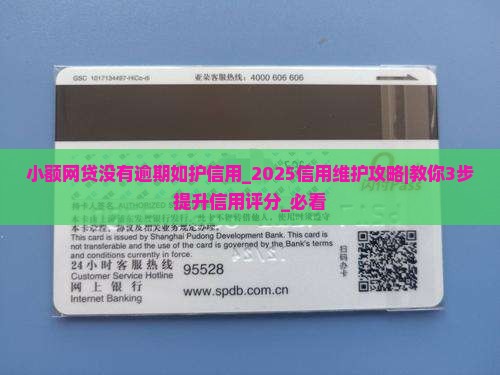 小额网贷没有逾期如何维护信用