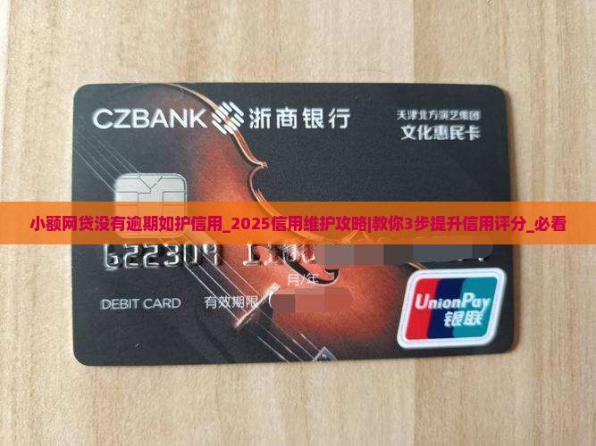 小额网贷没有逾期如何维护信用