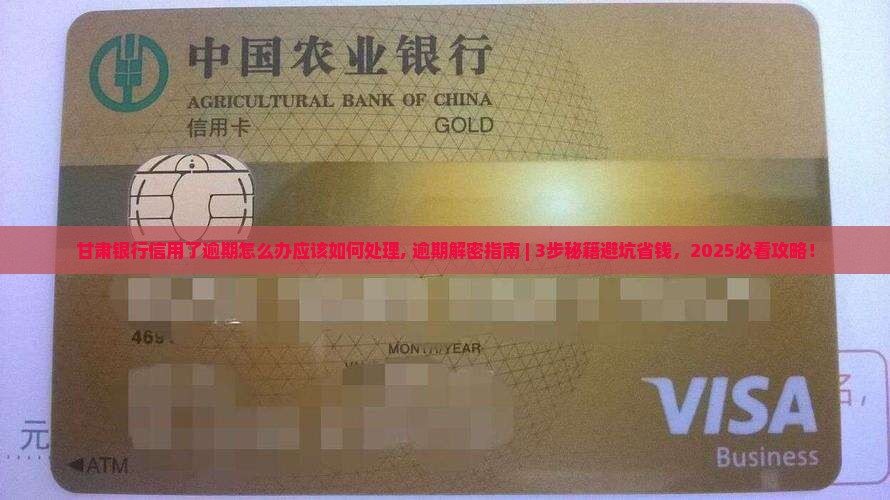 甘肃银行信用了逾期怎么办应该如何处理