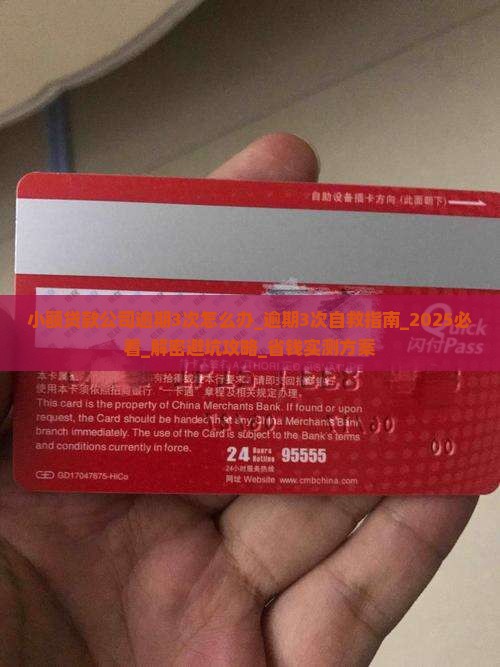 小额贷款公司逾期3次怎么办 小额贷款公司逾期3次怎么办