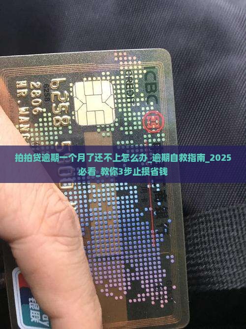 拍拍贷逾期一个月了还不上怎么办