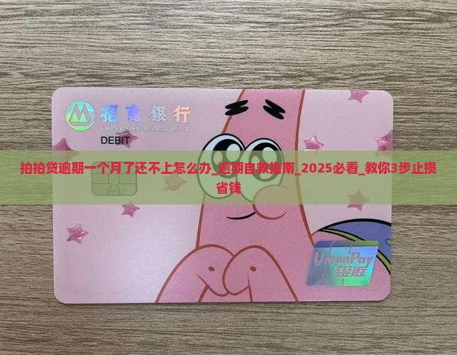 拍拍贷逾期一个月了还不上怎么办
