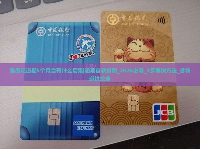 唯品花逾期5个月会有什么后果