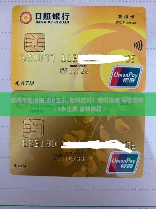 信用卡逾期催款说立案