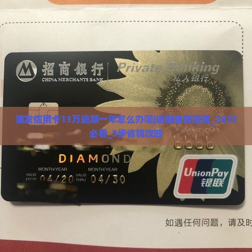 浦发信用卡13万逾期一年怎么办呢