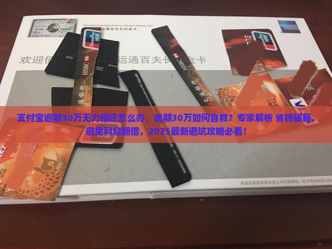 支付宝逾期30万无力偿还怎么办