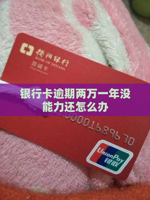 银行卡逾期两万一年没能力还怎么办