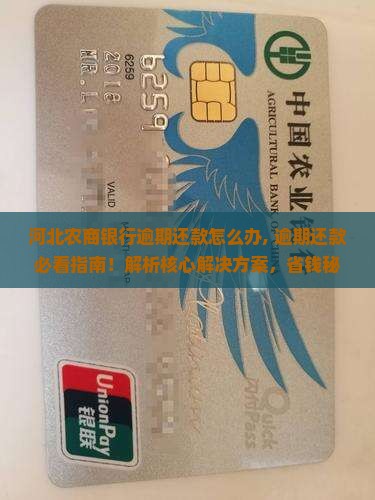 河北农商银行逾期还款怎么办 河北农商银行逾期还款怎么办