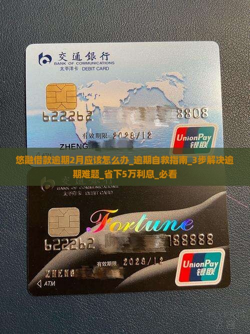 悠融借款逾期2月应该怎么办 悠融借款逾期2月应该怎么办