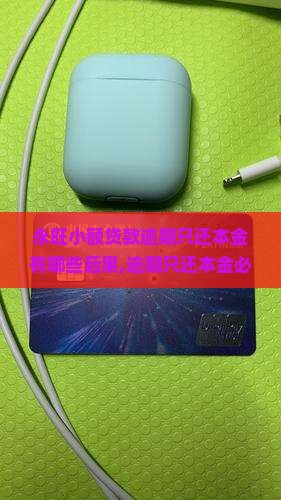 永旺小额贷款逾期只还本金有哪些后果