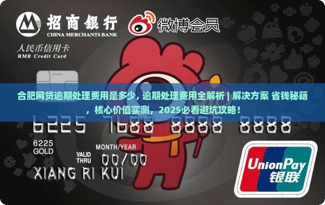 合肥网贷逾期处理费用是多少