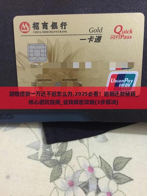 甜橙借款一万还不起怎么办 甜橙借款一万还不起怎么办