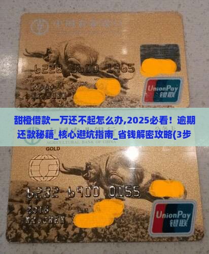 甜橙借款一万还不起怎么办 甜橙借款一万还不起怎么办