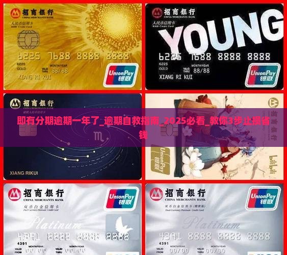 即有分期逾期一年了