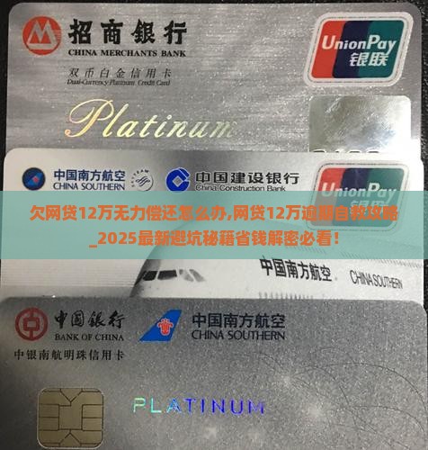 欠网贷12万无力偿还怎么办 欠网贷12万无力偿还怎么办