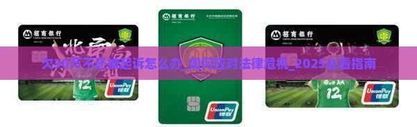 欠30万不还被起诉怎么办