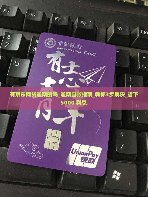 有京东网贷逾期的吗