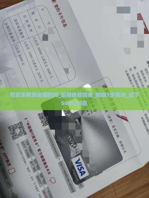 有京东网贷逾期的吗