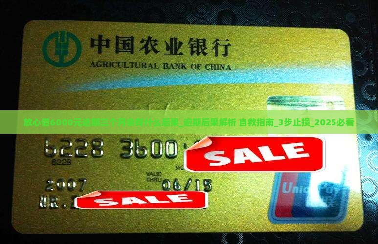 放心借6000元逾期三个月会有什么后果