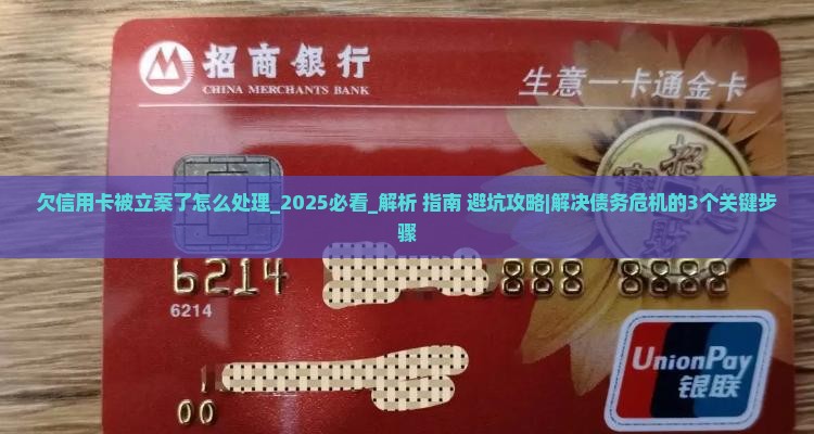 欠信用卡被立案了怎么处理