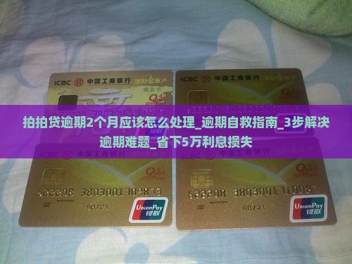 拍拍贷逾期2个月应该怎么处理